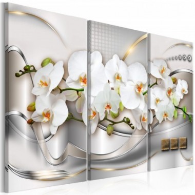 Quadro - Blooming Orchids I - 90x60