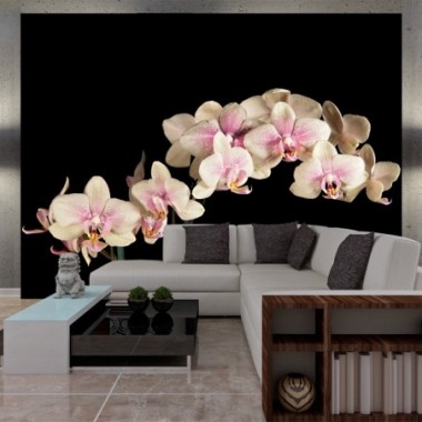Fotomurale - Orchidea in fiore - 300x231