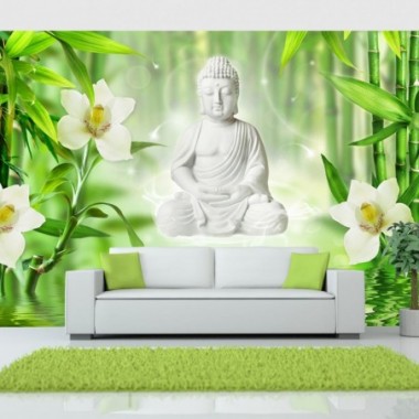 Fotomurale adesivo - Buddha e natura - 294x210