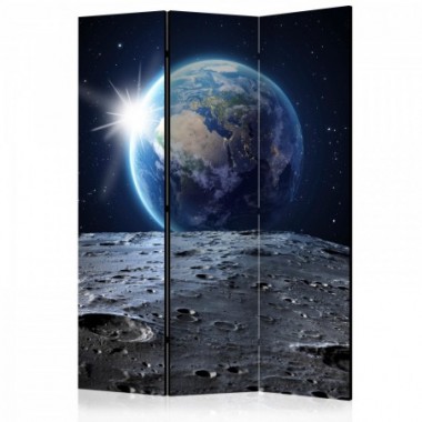 Paravento - View of the Blue Planet [Room Dividers]...