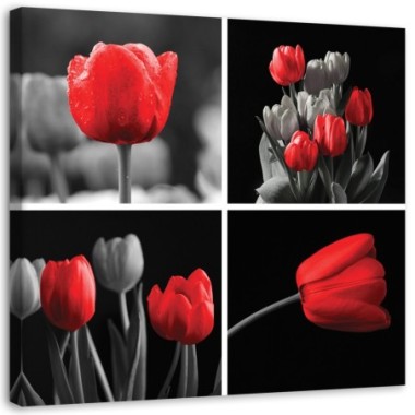 Quadro su tela, Set di tulipani rossi - 50x50
