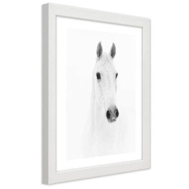 Quadro con cornice, Cavallo grigio - 60x90