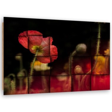 Quadro deco panel, Fiore di papavero rosso - 90x60