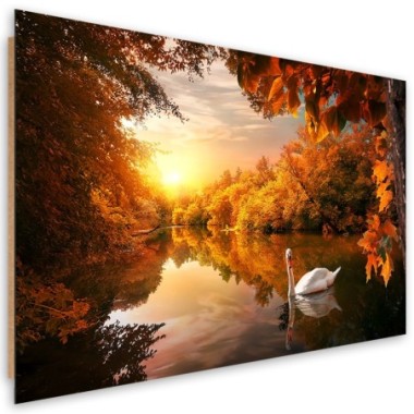 Quadro deco panel, Cigno sullo stagno autunno - 90x60