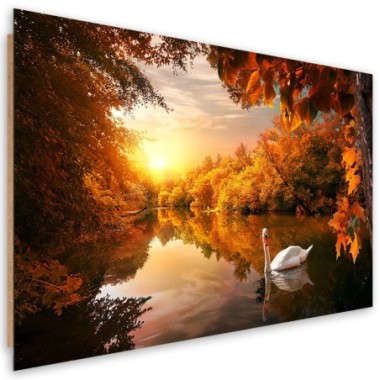 Quadro deco panel, Cigno sullo stagno autunno - 100x70