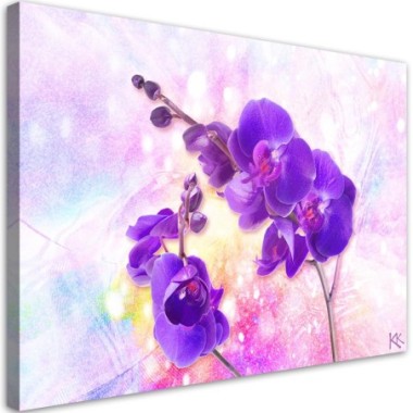 Quadro su tela, Fiore di orchidea viola - 100x70