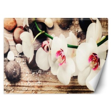 Carta Da Parati, Orchidee Zen - 300x210