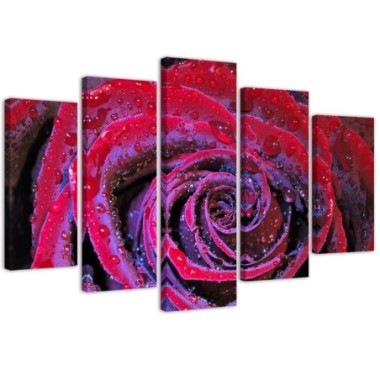 Quadro su tela 5 paneli Fiore di rosa rosso - 200x100