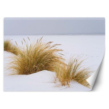 Carta Da Parati, Spiaggia Lago Dune Paesaggio - 450x315