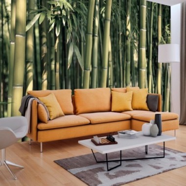 Fotomurale - Bamboo Exotic - 150x105
