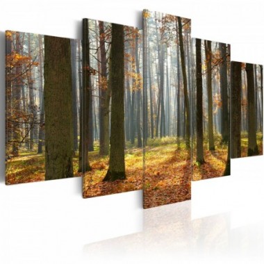 Quadro - Pittoresco paesaggio silvestre - 100x50