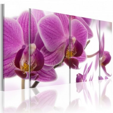 Quadro - Marvelous orchid - 120x60