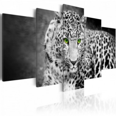 Quadro - Leopardo - bianco e nero - 200x100