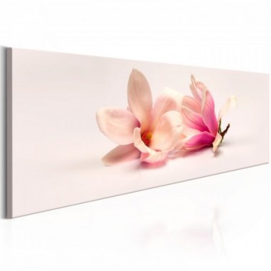 Quadro - Beautiful Magnolias - 150x50
