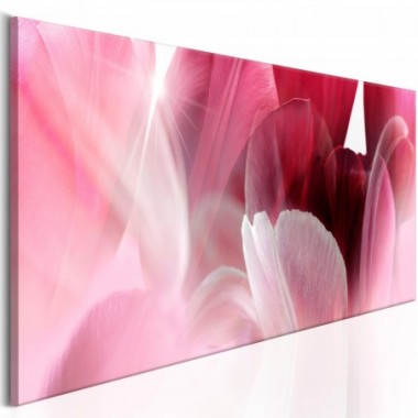 Quadro - Flowers: Pink Tulips - 150x50