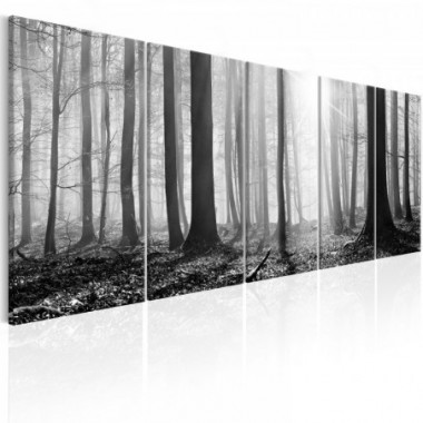 Quadro - Monochrome Forest - 225x90